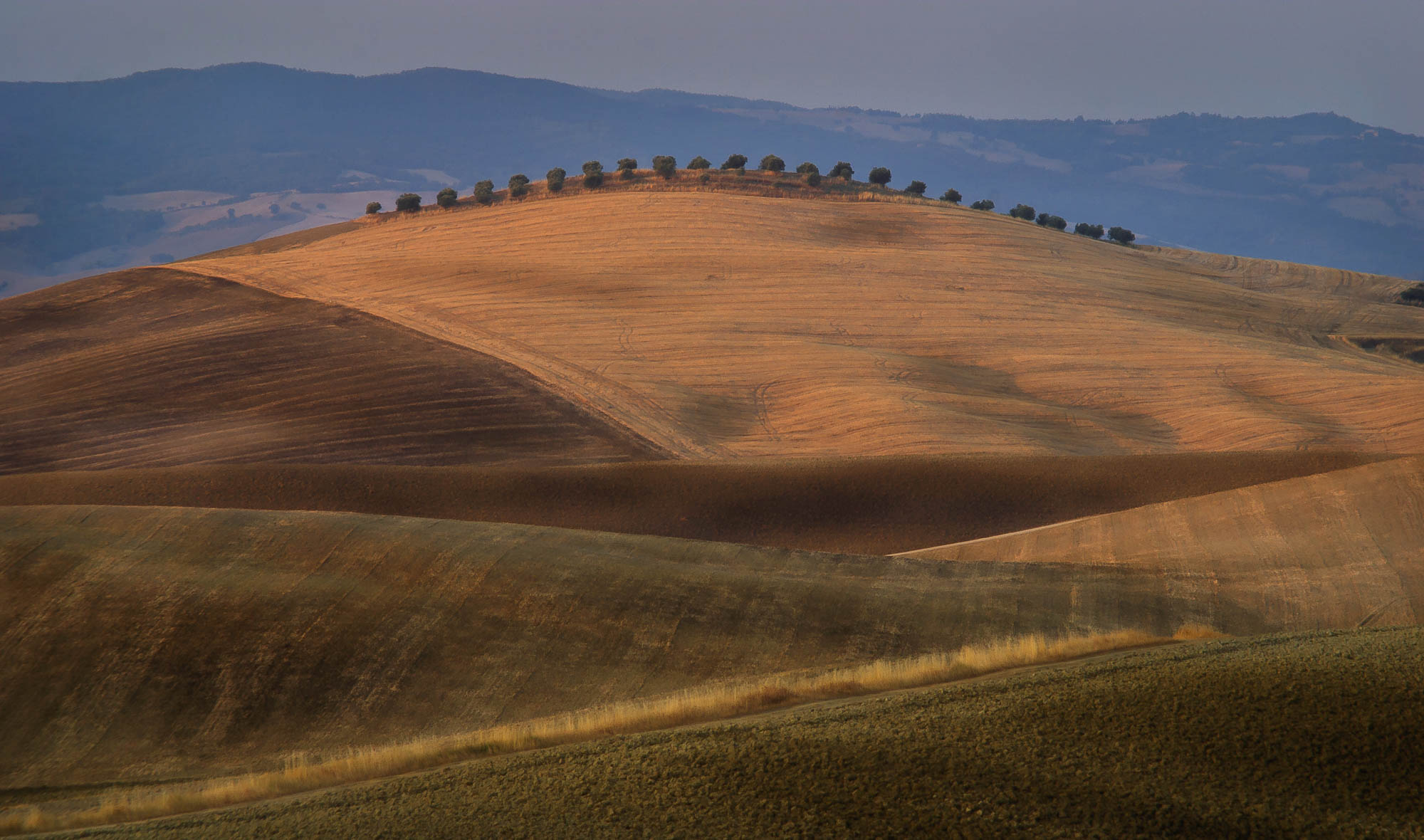 Tuscany Hills